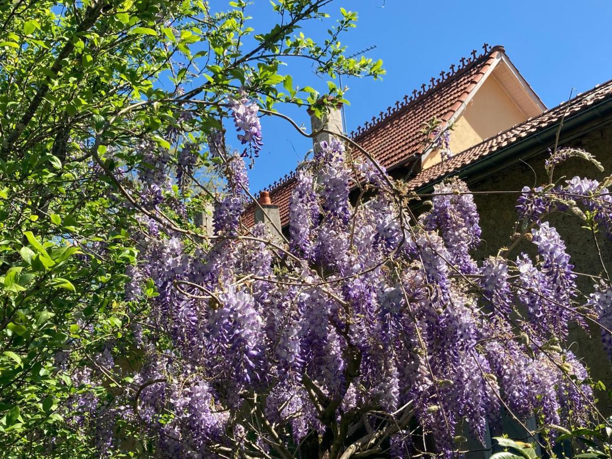 Domaine La Jam Bed & Breakfast Marciac Exterior photo